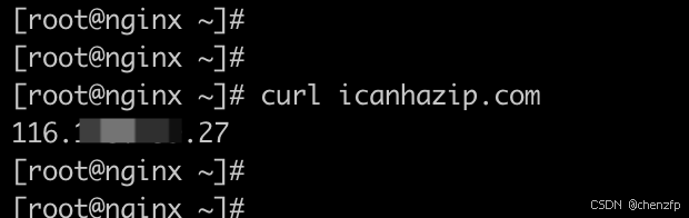 linux服务器如何查看出口IP
